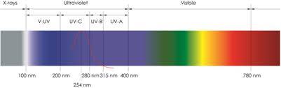 Lightbest UV12 (45 LPM - 12GPM) UV Steriliser System 55w 