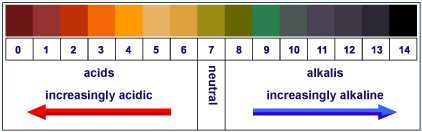 Calcite 15 x 52 Inch pH Correction Unit with Clack Valve - pH scale